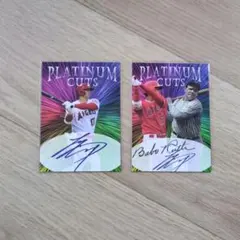 Item thumbnail for item ae854469-f68d-442c-9a78-b6b8f1fe62db