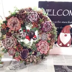 多肉植物＊º*.:リース21cm:.そのまま飾れる寄せ植え＊~♬