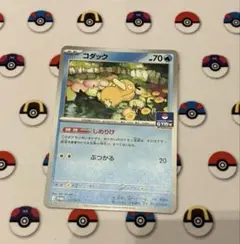 コダック しめりけ