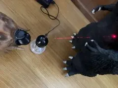 超リアルムーブモスラ　レーザー光線のサムネイル