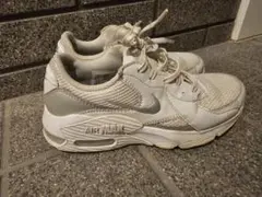 Nike Air Max ホワイト/グレー