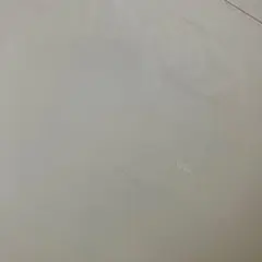 Item thumbnail for item 277c8ecf-95ff-42cd-98d3-82d07ee05c5b