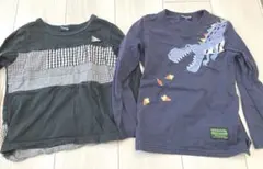 恐竜トレーナー110 2枚