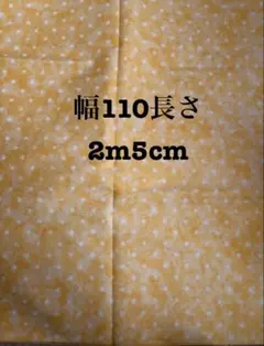 Item thumbnail for item 446abddb-e71d-4494-a071-40da7709c9c4