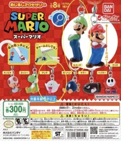 【めじるしアクセサリー】スーパーマリオ