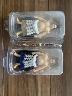 2026年最新】若乃花の人気アイテム - メルカリ