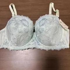 Wacoal ブラジャー E80 水色刺繍