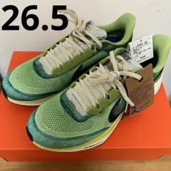 【新品】NIKE Air Zoom Pegasus 41 SE ペガサス41