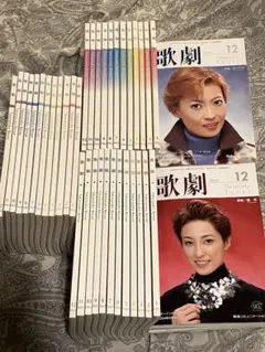 Item thumbnail for item cd119a35-788a-4a29-a44d-e71b91b8d910