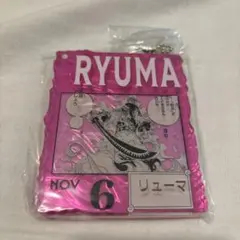 アクリルブロックチャーム　リューマ