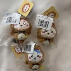 たぬきだもんくじ C賞 古本屋 ラッコ ハチワレ 3点セット