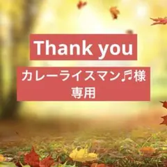 ヒマラヤ⭐️リップバーム10g 3本セット