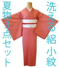 値下げ交渉OK！」夏物 洗える ポリエステル 絽 小紋 セット F467