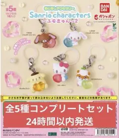 【コンプ全５種】めじるしアクセサリー サンリオキャラクターズ～エモきゅん～2