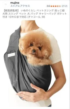 Item thumbnail for item 3f3de7bd-a47e-49ae-8a10-b495be511851