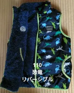 恐竜 リバーシブル ベスト