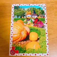 ディズニー  スペフォ