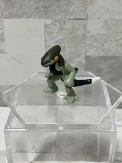 ポケモンゲットコレクションズ No.537（トモトカゲ　単品）