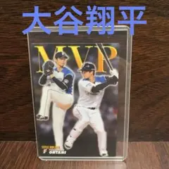 大谷翔平 プロ野球チップス