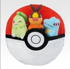 ⭐︎値下げ中⭐︎一番くじ　ポケモン　2025 A賞