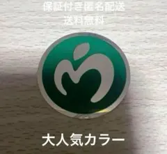 Mrs. GREEN APPLE◆ゼンジン フレークステッカー 1枚 ミセスロゴ