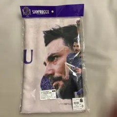 サンフレッチェ トルガイ