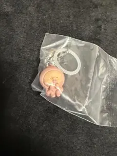 カクレモモジリ シークレット