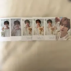 StrayKids LeeKnow リノ トレカ ポラ シーグリ