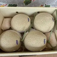 高知県産❗高級メロン プリンセスニーナ ミネラルメロン 6玉 (7.7kg 