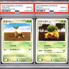 【PSA10 2連番】2007 ポケモンカード ナエトル・ハヤシガメのサムネイル