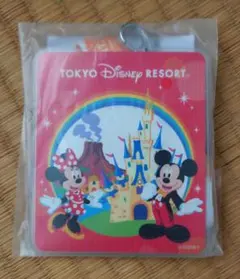 新品☆ディズニー☆パスポートホルダー