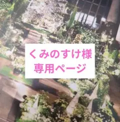 くみのすけ、プロフ紹介文確認を。様 リクエスト 2点 まとめ商品