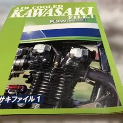AIR COOLED KAWASAKI FILE.1
