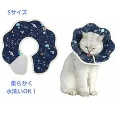 Item thumbnail for item 3bd02b95-7fd8-499f-ab8a-7ba15325db0a