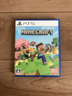 【PlayStation5】PS5 Minecraft
