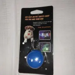 Item thumbnail for item df497a34-6220-445a-991a-ca6bb274636e