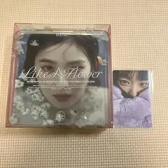 redvelvet like a flower アイリーン アルバム
