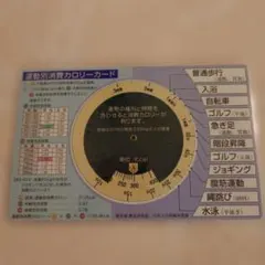 Item thumbnail for item 77f8bda3-991e-4ffd-8995-be984b199ff8