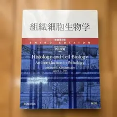 Item thumbnail for item 447800e6-4134-45a7-a76f-4c6d1a4bbcac