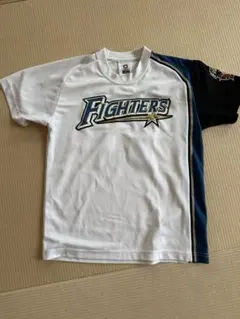 Item thumbnail for item 14c09810-f720-4529-8a34-a4cf648178b2