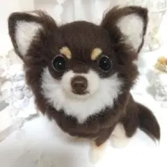 羊毛フェルト ハンドメイド 犬 チワワ - メルカリ