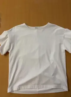 fredy couleur 半袖 Tシャツ ホワイト 38 ノーリーズのサムネイル
