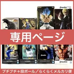 SEフィギュア様リクエスト専用ページ