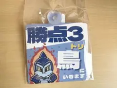 ジュビロ磐田　カーサイン