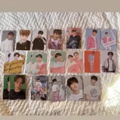 ディノ　トレカ　まとめ売り　セット