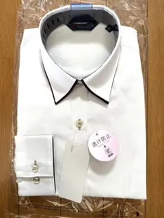 Item thumbnail for item 588f91ef-11d3-495c-80f9-120a42eba5b8