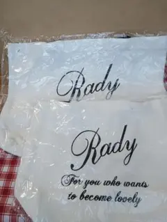 新品未使用 Rady レディ ミニトート& トートバッグ大小セット　ホワイト