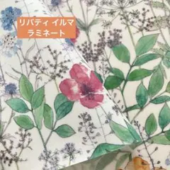 ラミネート生地 生地