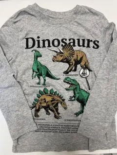 H&M ダイナソー　恐竜プリント 長袖カットソー ロンT
