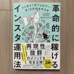 革命的に稼げるインスタ運用法